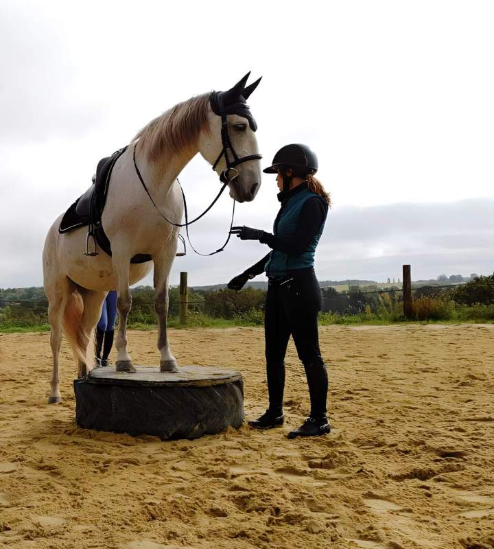 Coaching équestre La Roche-sur-Yon