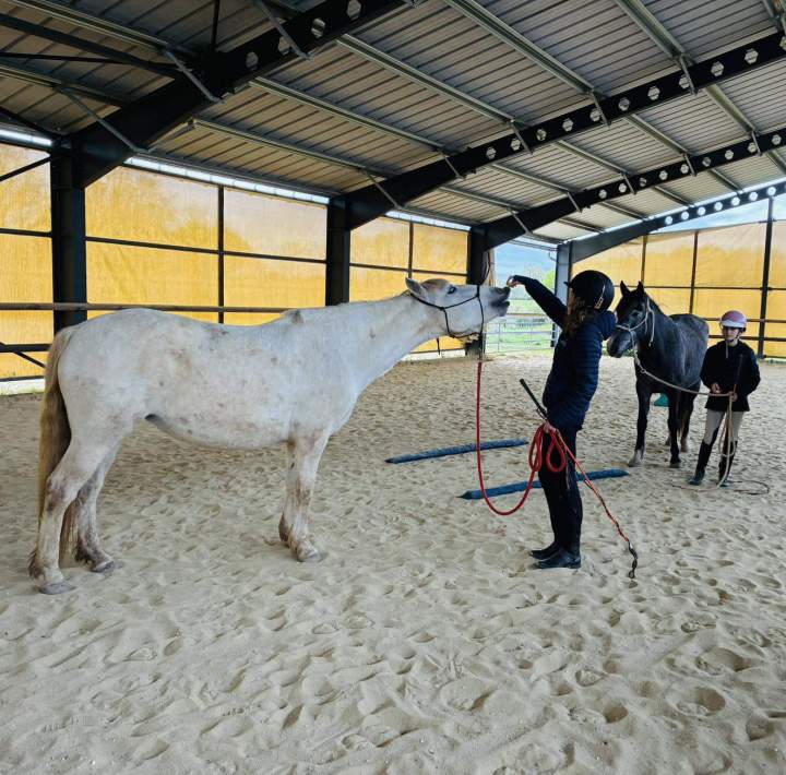 Atelier d’équitation La Roche-sur-Yon