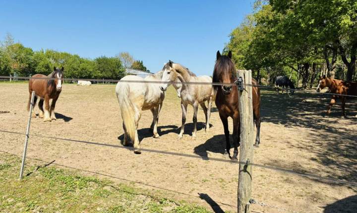 489532134 697645329676501 3266621352844975466 n