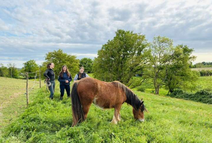 Découverte du cross équestre à La Roche-sur-Yon
