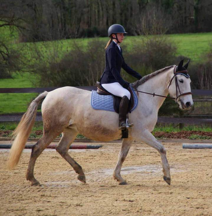 Cours d'équitation La Roche-sur-Yon