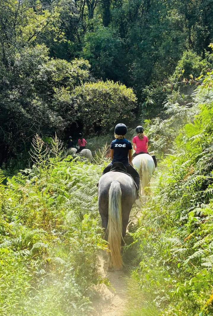Loisirs équestres à La Roche-sur-Yon
