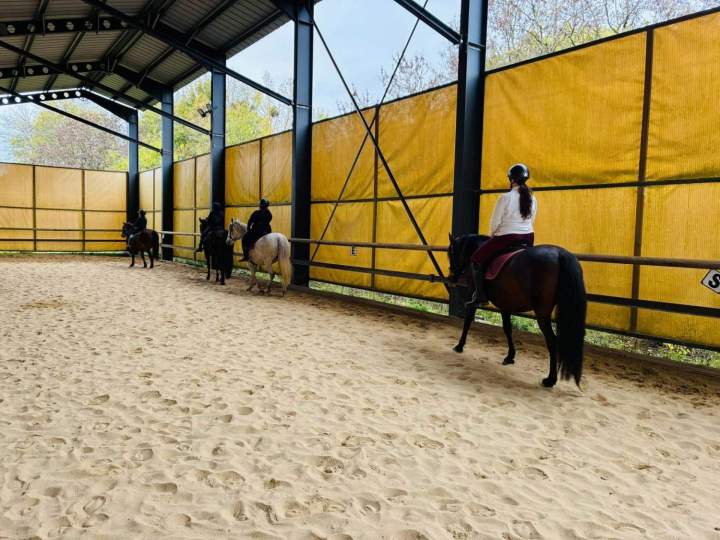 Perfectionnement équitation Luçon