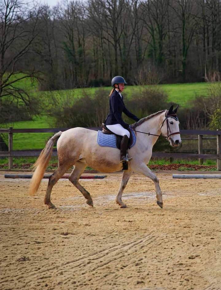 Apprendre l'équitation avec des professionnels.