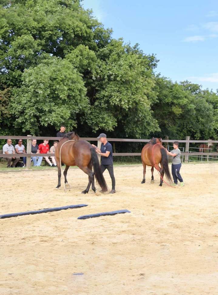 Développement personnel assisté par le cheval.