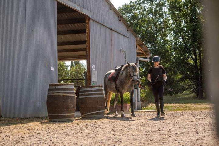 Stage d’équitation de travail – La Roche-sur-Yon