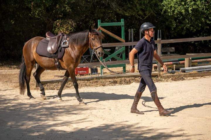 Équitation de travail – La Roche-sur-Yon