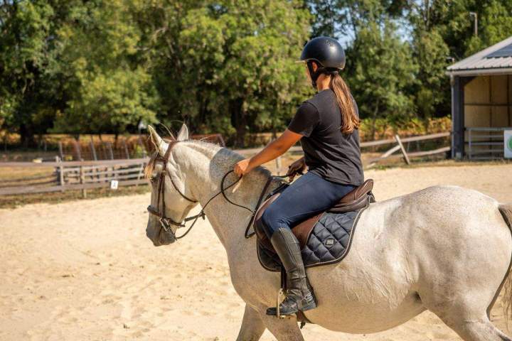 Stage pratique d’équitation de travail à La Roche-sur-Yon