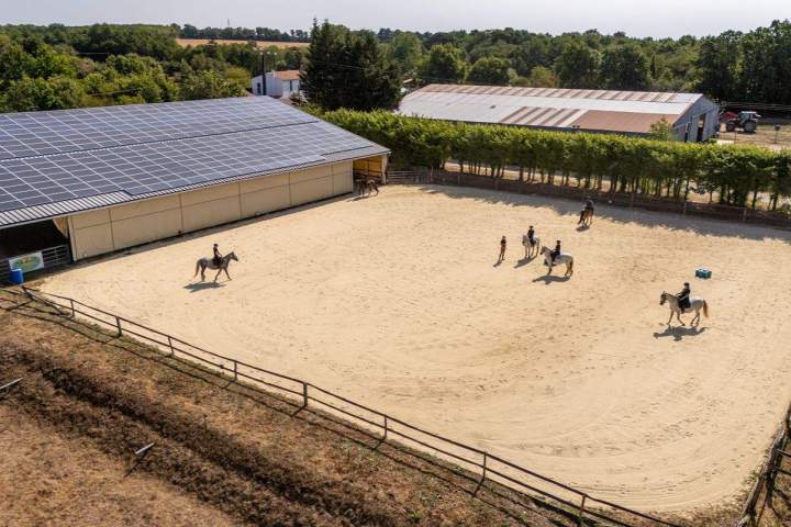 Stage équestre de travail – La Roche-sur-Yon