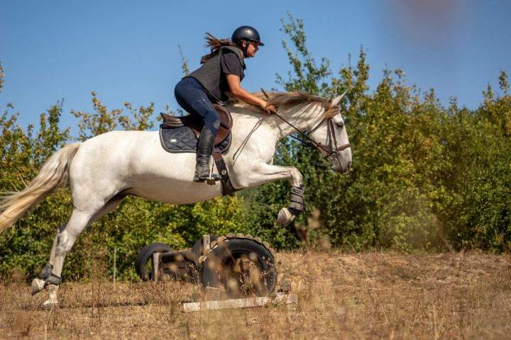 Centre d'équitation La Roche-sur-Yon