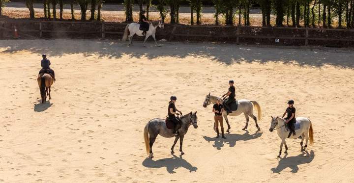 Des chevaux La Roche-sur-Yon