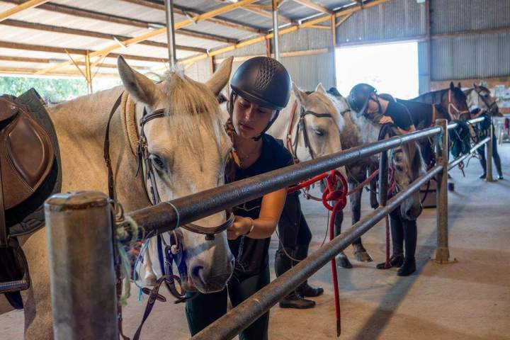 Cours d'équitation La Roche-sur-Yon