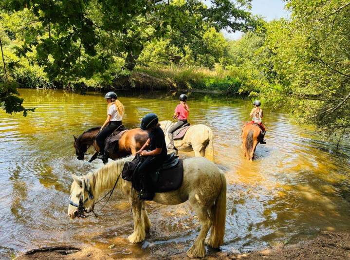Balade à cheval La Roche-sur-Yon