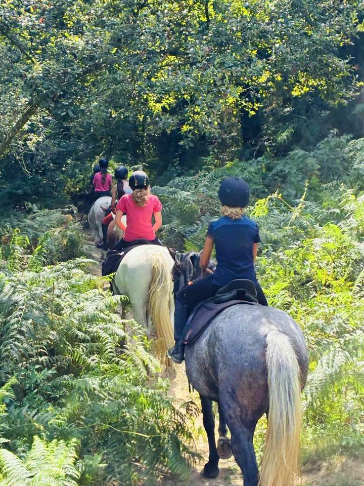 S'évader en pleine nature à cheval.