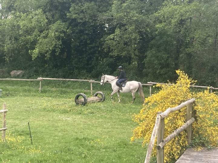Découverte du cross équestre à La Roche-sur-Yon