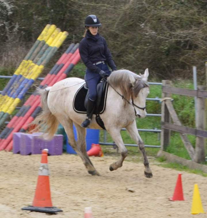 Expérience d’équitation de travail – La Roche-sur-Yon