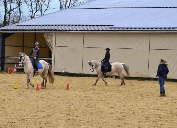 Stage pratique d’équitation de travail à La Roche-sur-Yon