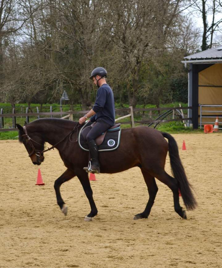 Équitation de travail – La Roche-sur-Yon