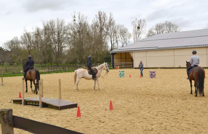 Stage d’équitation de travail – La Roche-sur-Yon