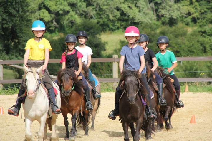 Présentation de carrousel poneys – La Roche-sur-Yon
