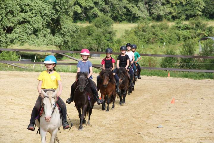 Carrousel équestre poneys – La Roche-sur-Yon