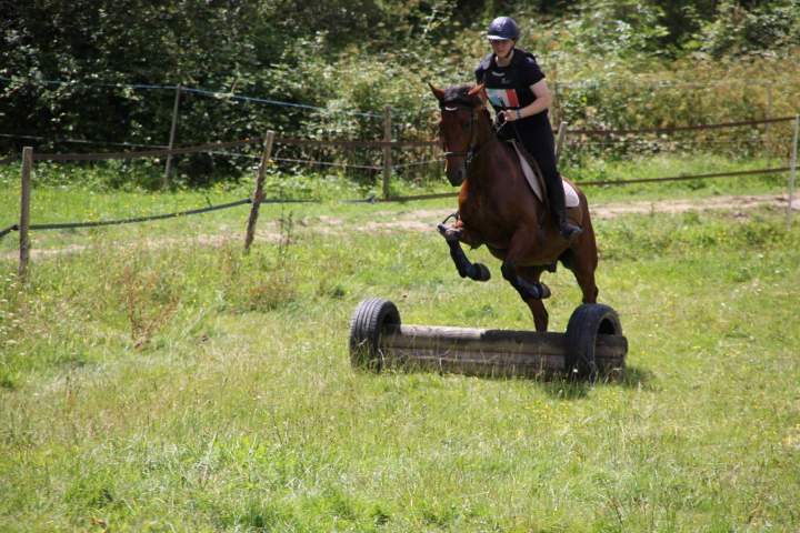 Démonstration de cross équestre – La Roche-sur-Yon