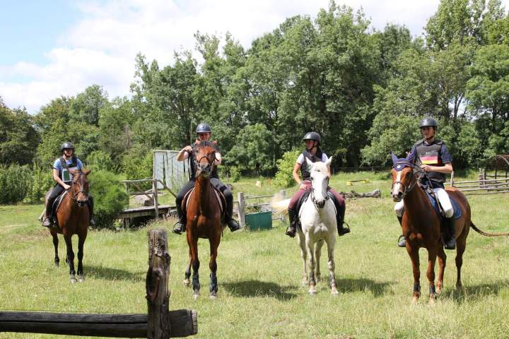 Présentation de cross équestre – La Roche-sur-Yon