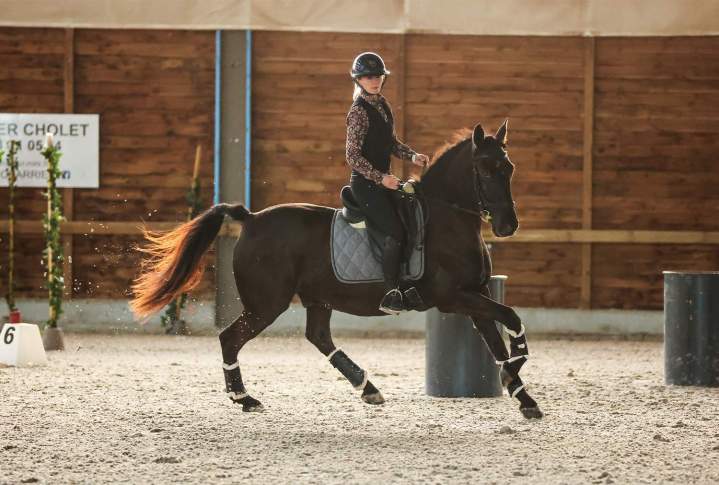 Activité équestre à La Roche-sur-Yon