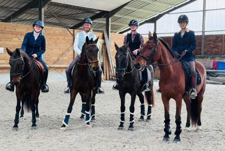 Cours dressage cheval à La Roche-sur-Yon