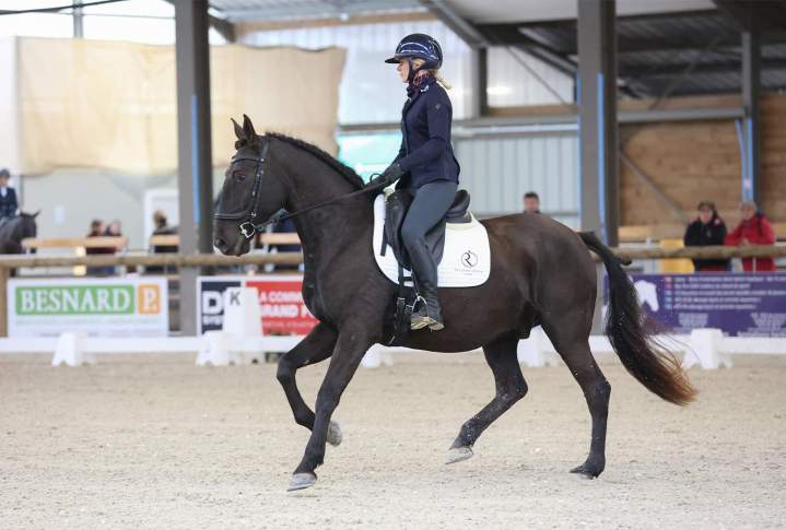Compétition de dressage cheval La Roche-sur-Yon
