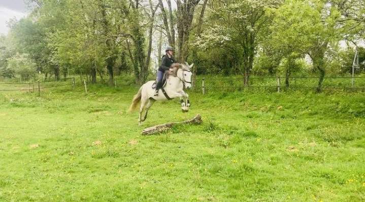 Initiation au cross – La Roche-sur-Yon