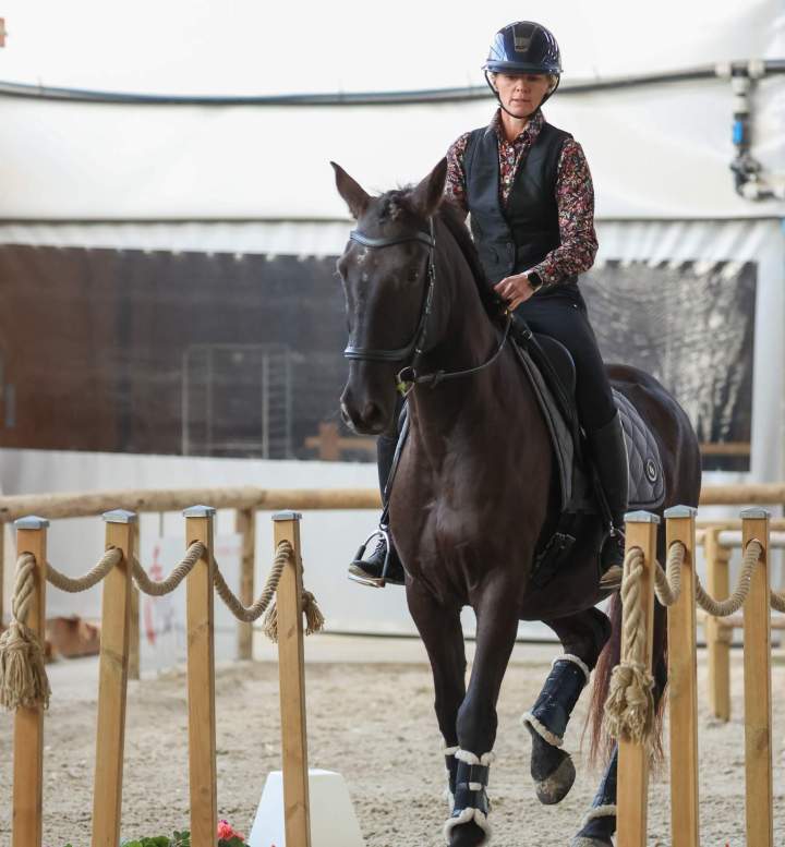 Séance d’équitation La Roche-sur-Yon