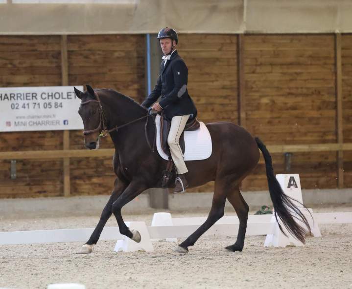 Cours d'équitation La Roche-sur-Yon